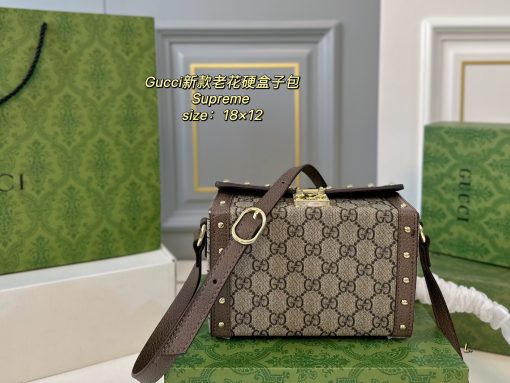 GUCCI hard box bag