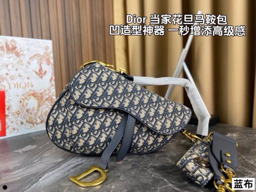Dior saddle