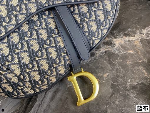 Dior saddle - Image 4