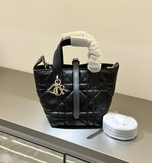 DIOR mini vertical Toujours