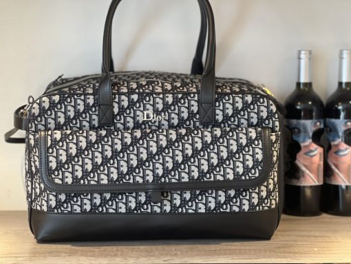 Dior pet bag