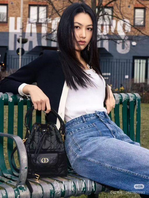 DIOR caro bucket bag - Image 4