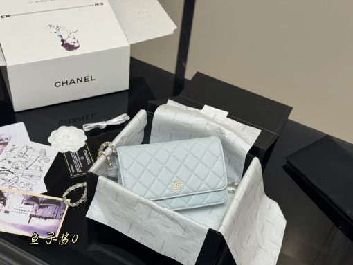 Chanel classic wealth bag