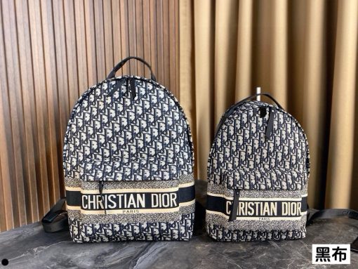 Dior backpack