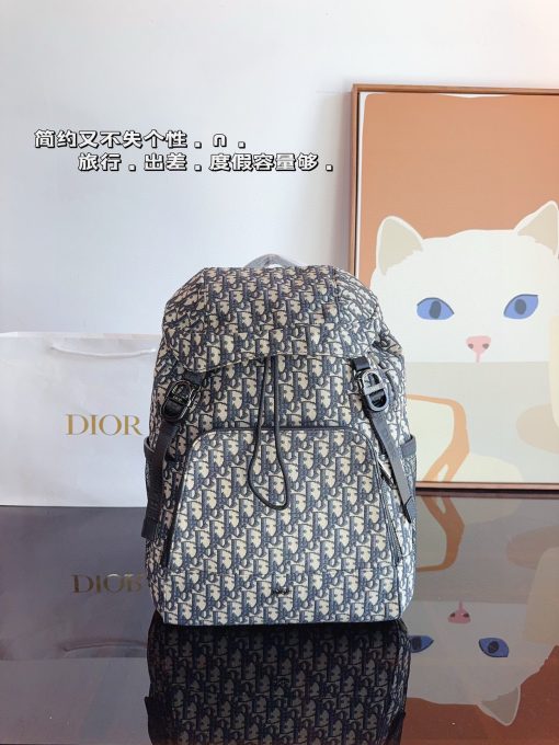 DIOR backpack