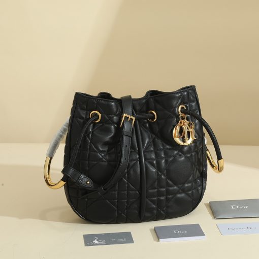 DIOR nolita handbag