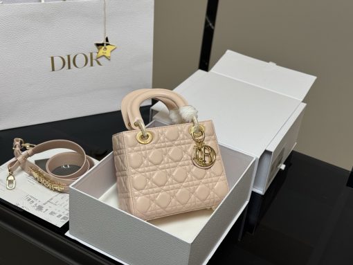 DIOR Lady bag
