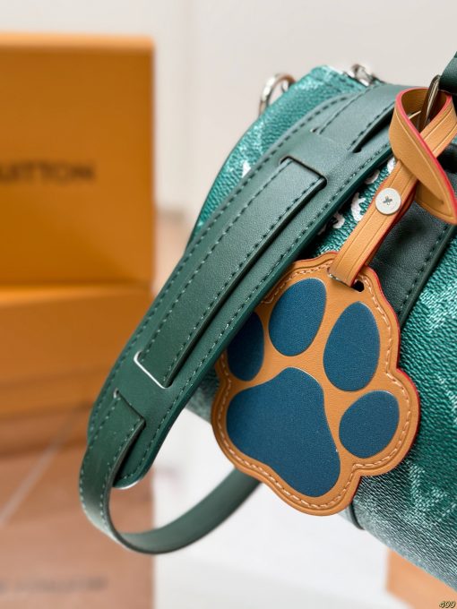 LV pillow bag - Image 8