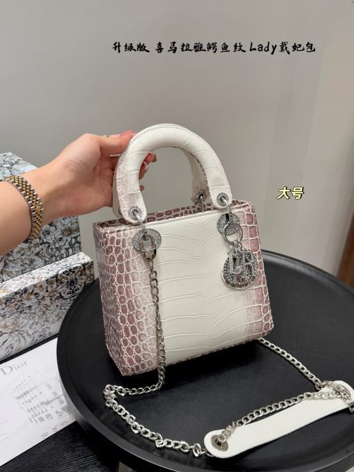 DIOR Lady bag