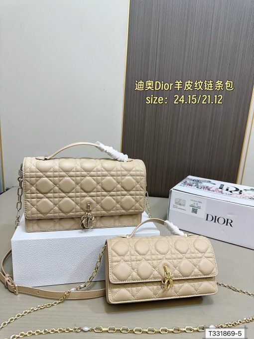 DIOR Lady bag