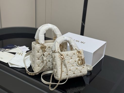 DIOR Lady bag