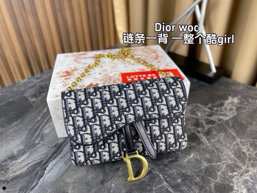 Dior saddle bag