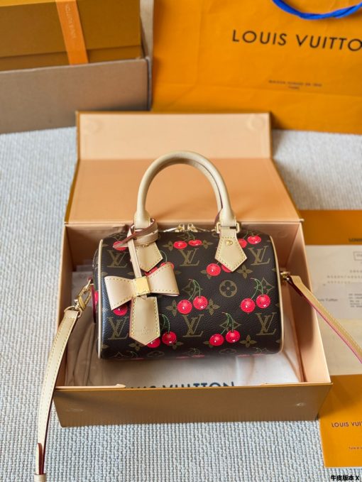 LV Speedy pillow bag